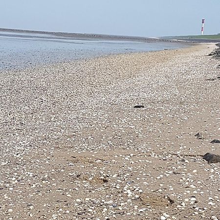 Haus Am Meer Eckwarden ブットヤーディンゲン エクステリア 写真
